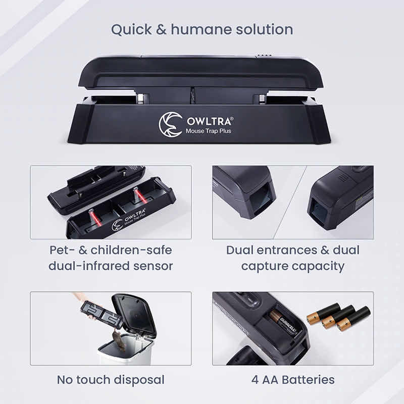 EMZ PLUS